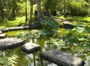 Sunday Devotional: Forgive