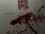 PUTRID OFFAL Crowdfunding Campaign Suffering Kollektor Series (Kaotoxin Records)