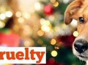 Cruelty Christmas: Isn't Make Believe
