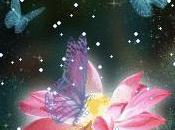 Life Without You......