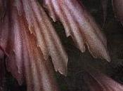 Life Profanity Poetry.......