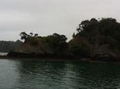 Zealand Holiday North