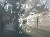 Come Mental Health Carnival Blog Posts