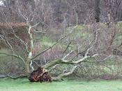 Blogging: Must Really Niche?