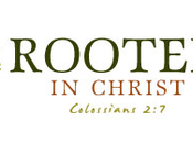 Become More Rooted Christ This Year