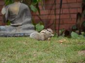 January 2012 (365 Photo Challenge)