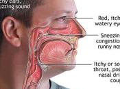 Common Nasal Problems Hilly Nepal