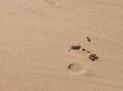 Footprints Accurate Fingerprints?