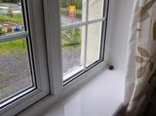 Review Year Part Four