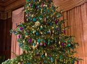 Music Room Tree Motion Longwood Gardens 2014