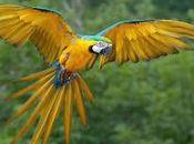 Applaud Efforts Combat Wildlife Trafficking