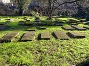 Exploring Portuguese Jewish Cemetery Cours Marne