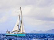 Sailing Pictures