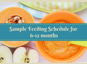 Sample Feeding Schedule Your Baby (6-12 Months)