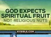 Spiritual Fruits Religious Nuts