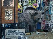 These Powerful Photographs Effectively Portray Results Deforestation