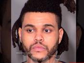 Weeknd Arrested Punching Police Officer