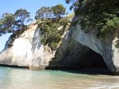 Trip Cathedral Cove