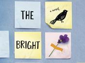 Book Review Bright Places
