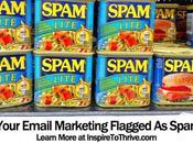 Email Marketing: Avoid Being Flagged SPAM