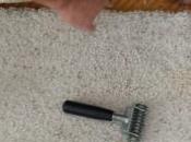 Popular Methods Repair Carpet