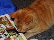 Images Cats Reading Books