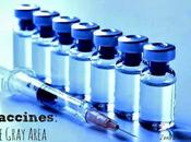 Vaccines: Gray Area