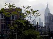 Friday Fotos: Empire State Building Moods