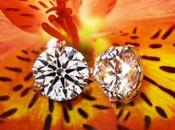 Jewel Week Stunning Diamond Studs!