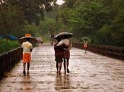 Exhilarating Monsoon Season Kerala