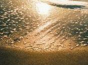 Will Heaven Have Oceans? Take