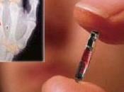 Stockholm Hi-tech Office Implants Microchips Under Tenants’ Skin