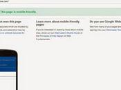 Google`s Mobile Friendly Testing Tool Label