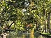 Beauty Kerala Backwater