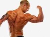 Building Muscle Mass