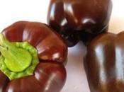 Chocolate Pepper