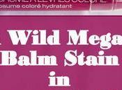 Swatches Review Wild Megaslicks Balm Stain Lady Vamp