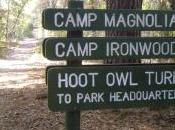 Hello Wilderness, We’ve Missed