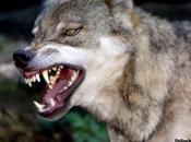 Sincere Doubt Versus Dishonest Skepticism