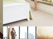 Advantages Using Wool Carpet