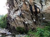 Legendary North Face Climbers Visit Cebu Promote Rock Climbing