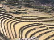 DAILY PHOTO: Terraces Pisaq