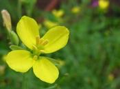 Last Summer? Here Isn't!