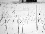 Color Black-and-white Snow Landscapes?