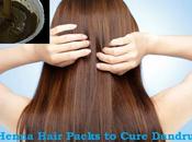 Henna Hair Packs Cure Dandruff Loss