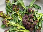 Harvest Monday 16th March 2015