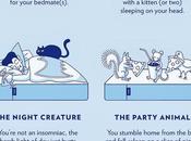 What Type Sleeper You?