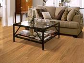 Tips Maintain Laminate Flooring