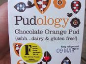 Pudology Chocolate Orange (Gluten Dairy Free)