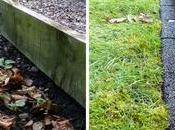 Creating Lawn Border Strawberry Review EcoBorder